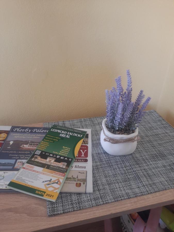 Apartman Sandra Valtice Luaran gambar